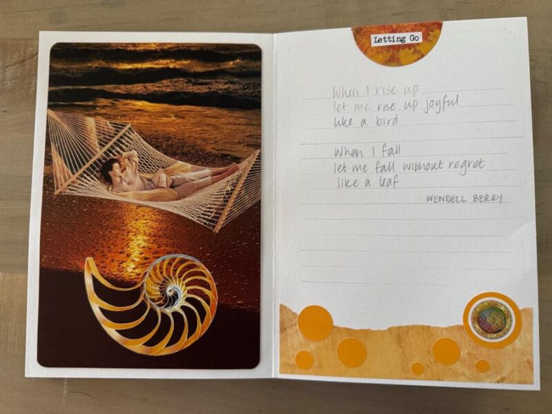 Nautilis